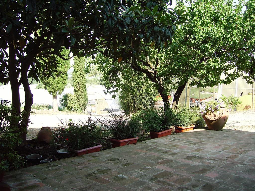 Il Belvedere Di Roccavo Villa Castiglion Fiorentino Kültér fotó