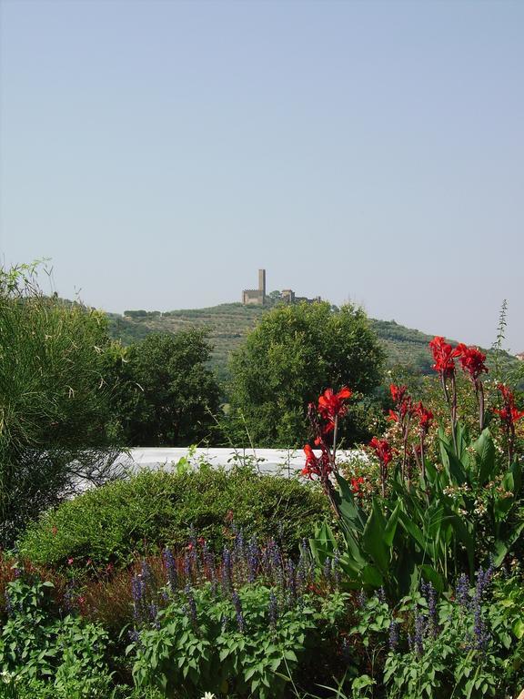 Il Belvedere Di Roccavo Villa Castiglion Fiorentino Kültér fotó