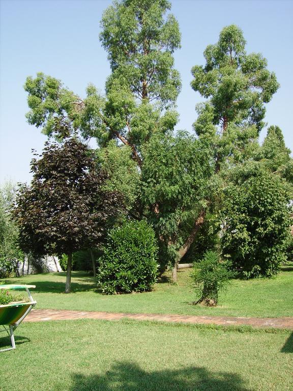 Il Belvedere Di Roccavo Villa Castiglion Fiorentino Kültér fotó